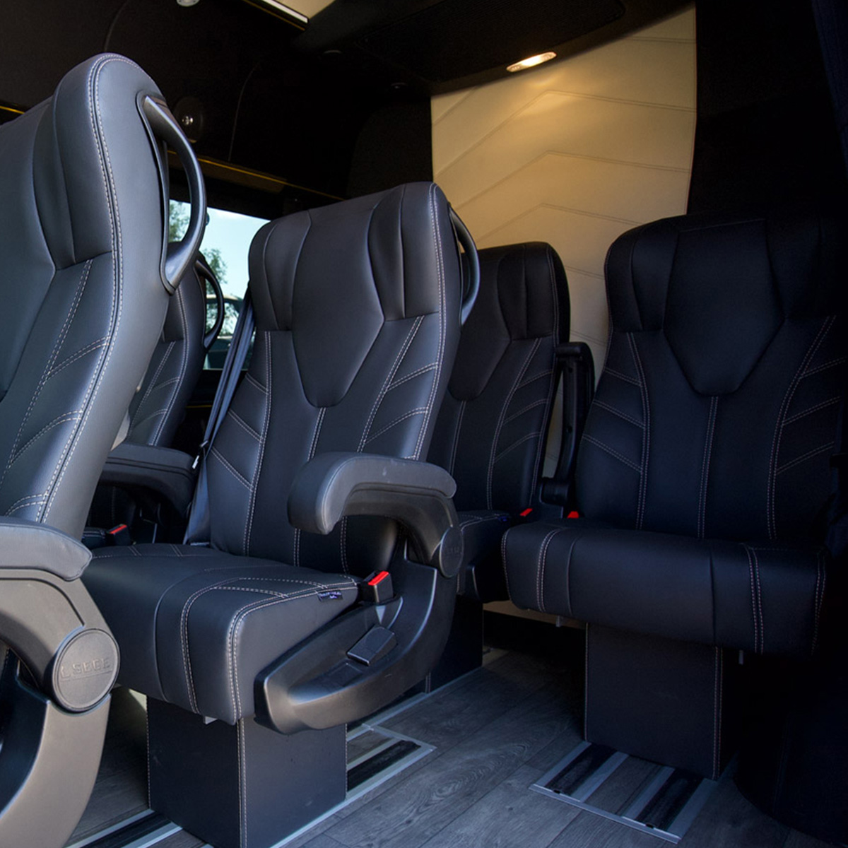 Luxury Bus Tour - Image 2